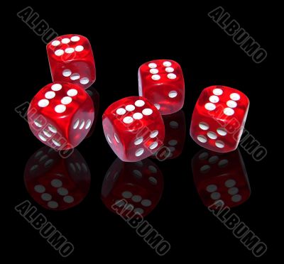 gambling with red dice