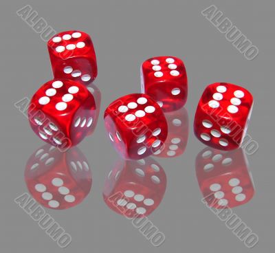 gambling with red dice