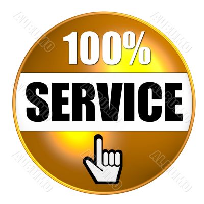 isolated 100 percent Service Button