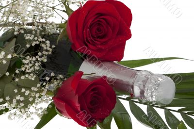roses with champagne bottle