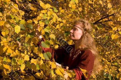 The elf in the autumn forest The elf in the autumn forest