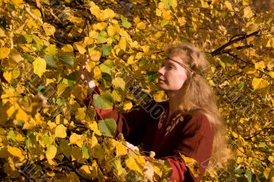 The elf in the autumn forest