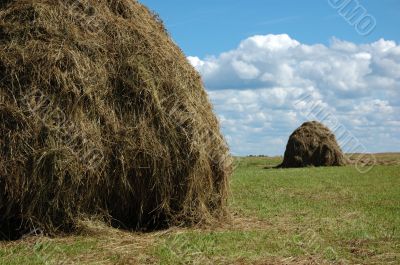 Hayfield and haystack