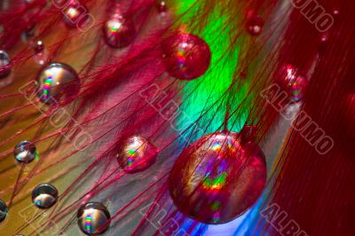 Abstract drops Abstract drops