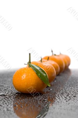 tangerine tangerine
