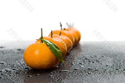 tangerine tangerine