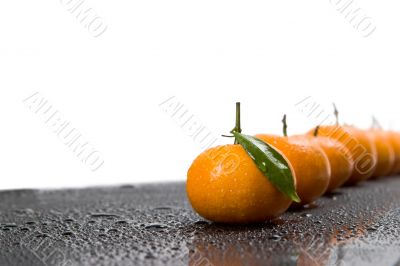 tangerine tangerine