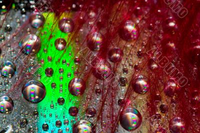 Abstract drops Abstract drops