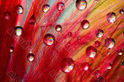 Abstract drops Abstract drops