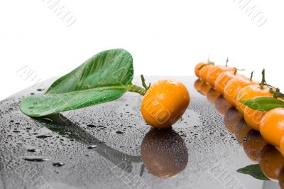 tangerine