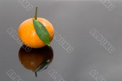 tangerine tangerine