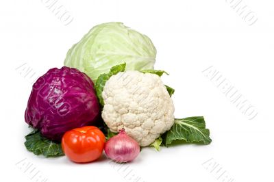 Fresh vegetable