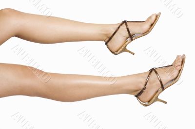 long legs long legs