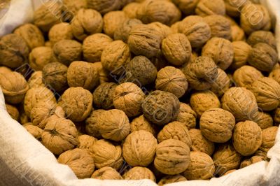 Walnut Walnut