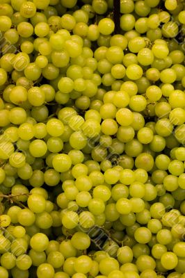 White grapes