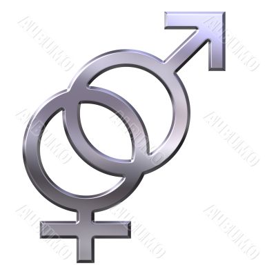 3D Silver Gender Union