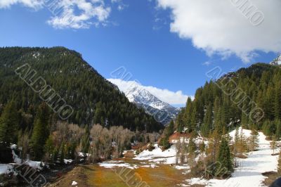 Rocky Mountain Spring