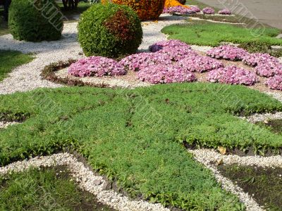 Flowerbed Flowerbed