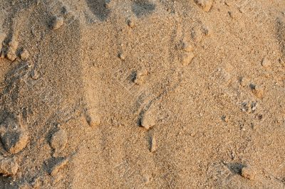 Sand Sand