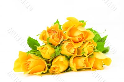 banch of flowers banch of flowers