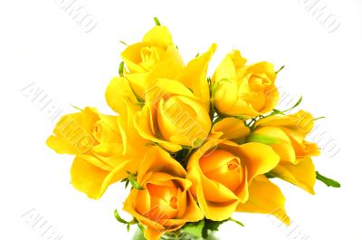 bunch of flowers