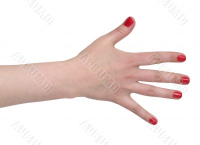 Female hand with gaudy red manicure