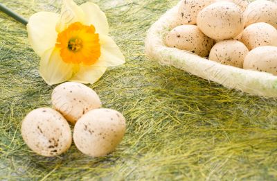 Daffodil and basket with easter eggs