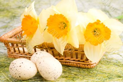 Daffodils in the basket and easter eggs