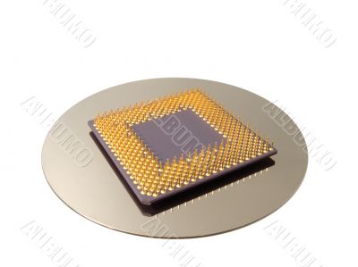 CPU &amp; HDD platter