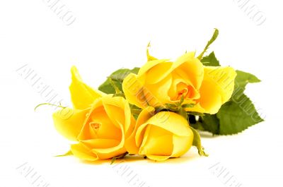 bunch of flowers