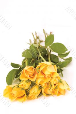 bunch of flowers