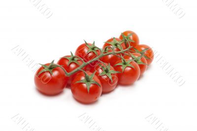 Red tomatoes cherry