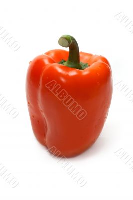 Orange bulgarian pepper part three