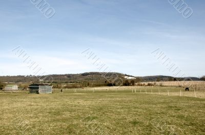 Shed in a field9