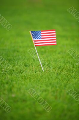 american flag on grass