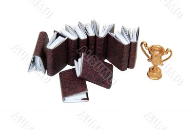 Information to achieve goals