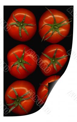 tomatoes curl distortion