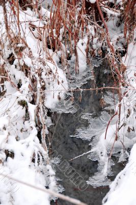 Winter stream