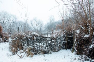 Rural winter landscape
