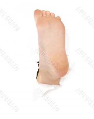 Childish foot on the white background