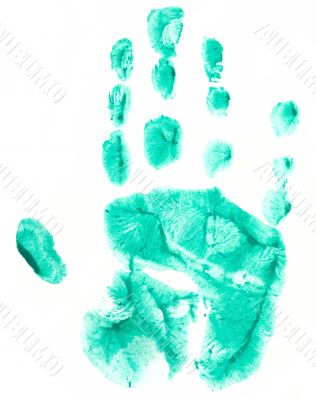 Green print of childish palm Green print of childish palm