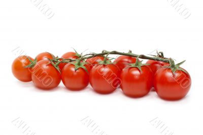 Red tomatoes cherry five