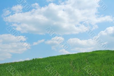 Sky And Grass Sky And Grass