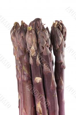 Purple Asparagus Spears Vertical