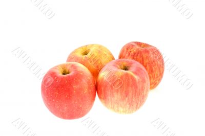 four red juicy apples