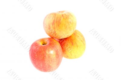 three juicy apples