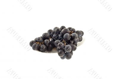 grapes on a white background