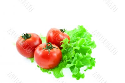 three red tomatos on leaves of lettuce