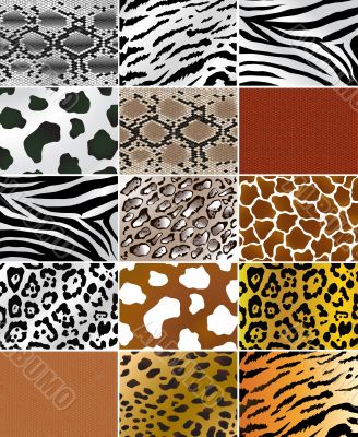 Animal skins