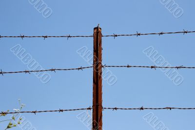 Three strands of barbed wire on rusty post